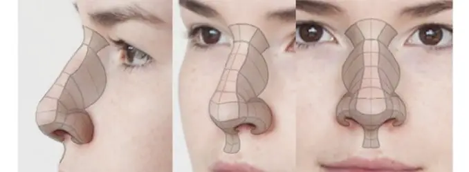 forma de dibujar la nariz con formas geométricas 
