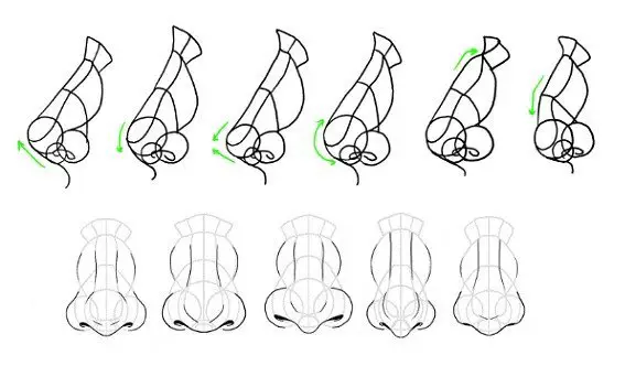 dibujo de nariz con formas geometricas en diferentes posiciones 