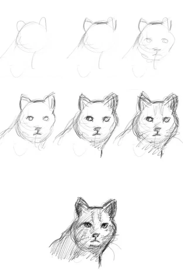 boceto de un gato, primero boceto general y después agregando detalles