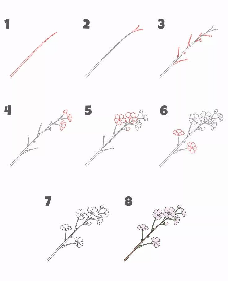Flor de cerezo fácil para dibujar paso a paso