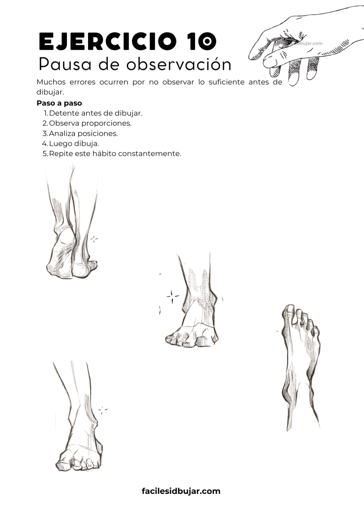 Pausa de observación para comparar el dibujo con su referencia