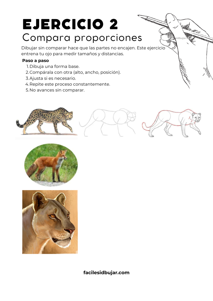 Comparación visual de proporciones entre las partes de un dibujo