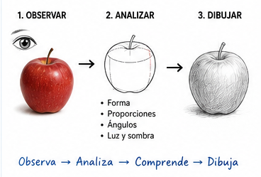 Comparación entre la observación de un principiante y un artista para aprender dibujo y entender formas, luz y sombra.