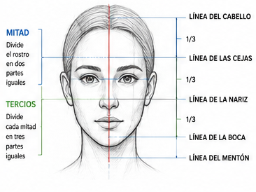 Rostro humano con líneas guía para aprender proporciones faciales en dibujo.